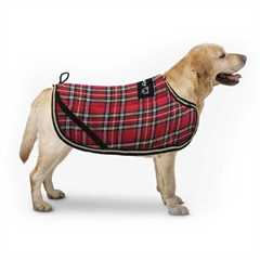 Bunty Highland Dog Coat